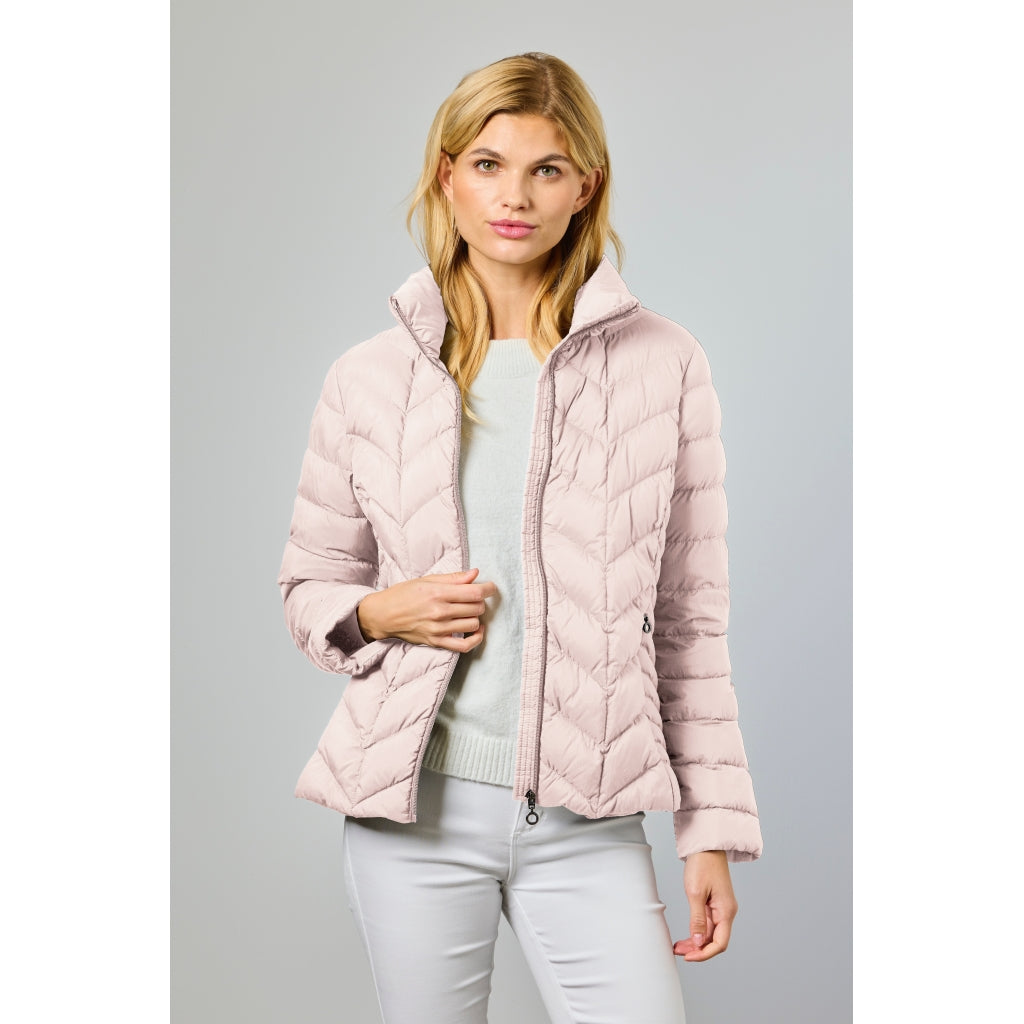 Junge Daisy Kv. 60 33-Rose