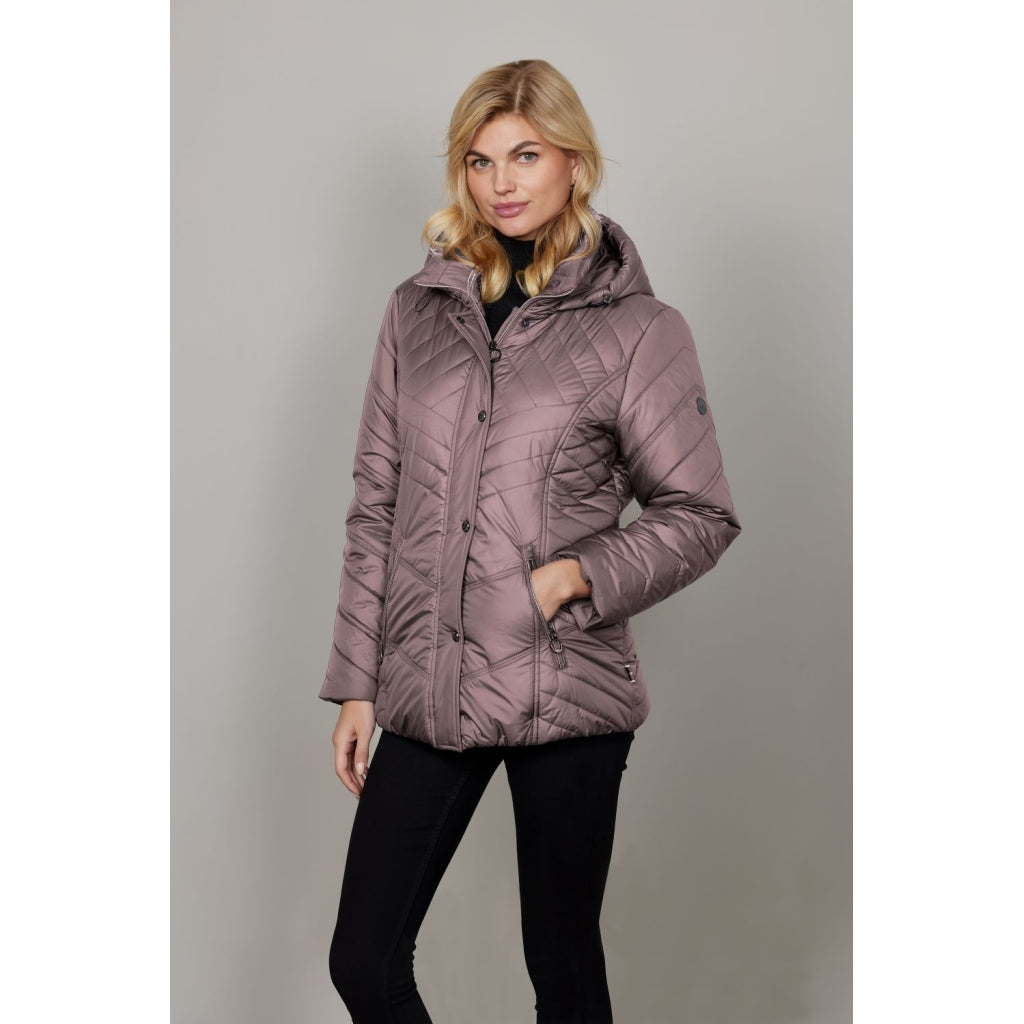 Junge Kate Kv. 66 33-Rose