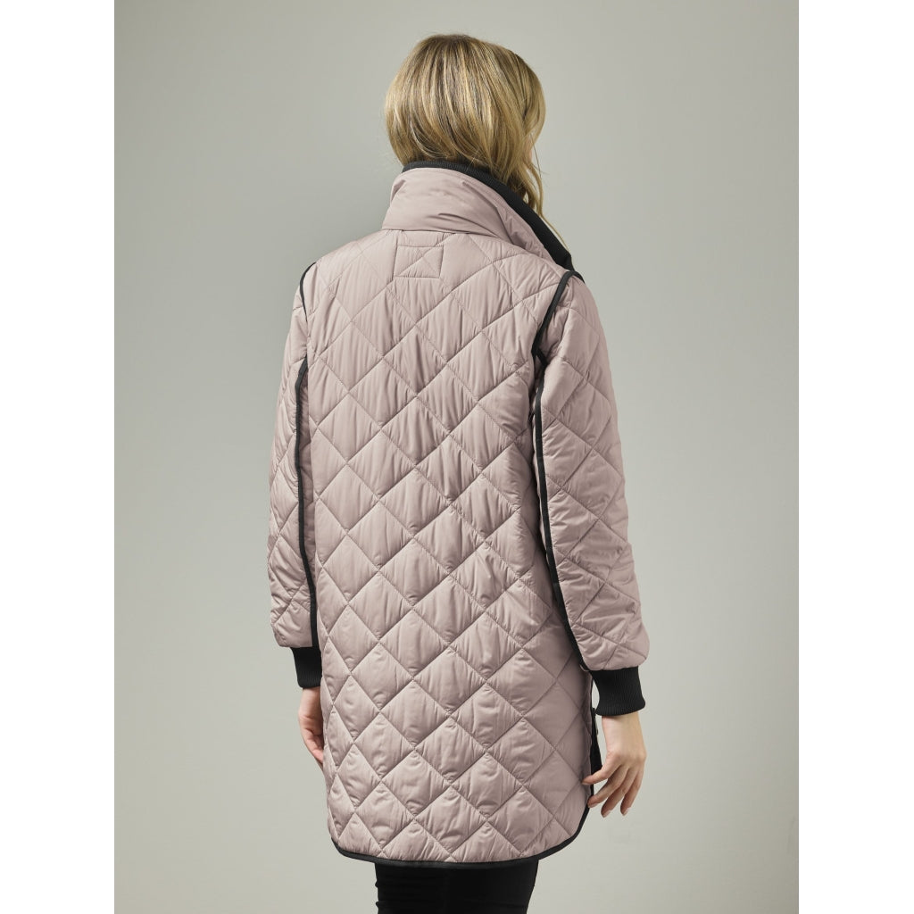 Junge Margrethe Kv. 66 33-Rose