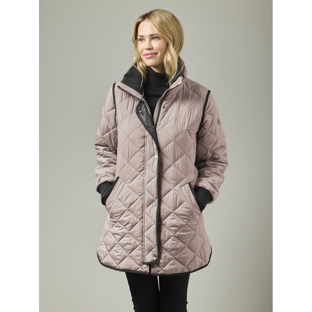 Junge Margrethe Kv. 66 33-Rose