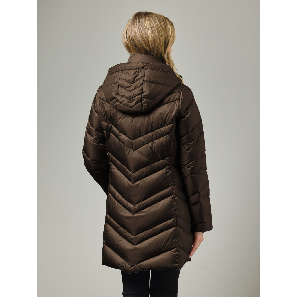 Junge Penny Kv. 62 64-Brown