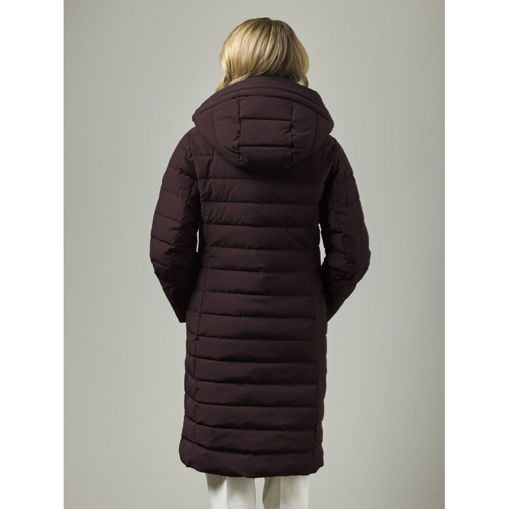 Junge Phillina Kv. 86 38-Barolo