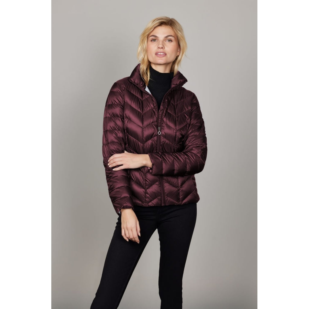 Junge Daisy Kv. 62 38-Wine