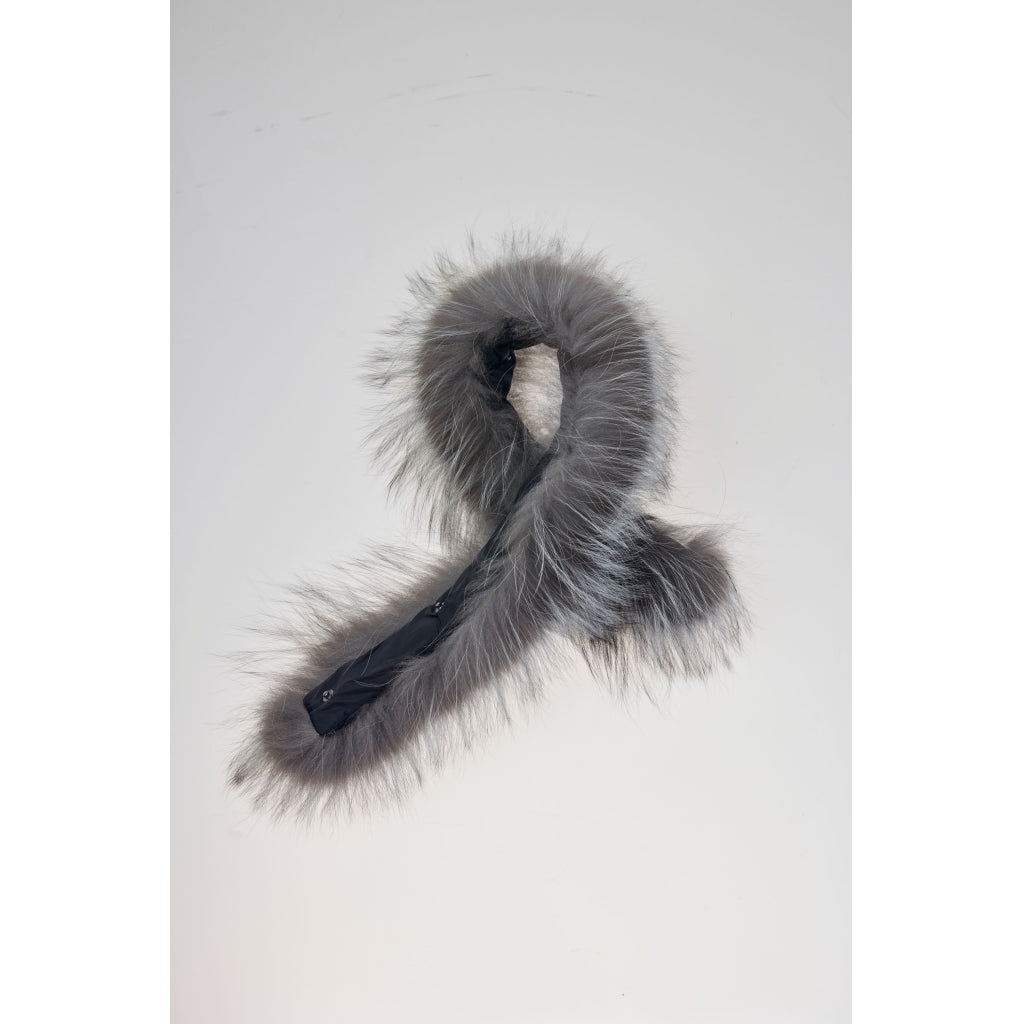 Junge Fur Kv. 65 01-Silver fox