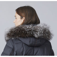 Junge Fur Kv. 65 01-Silver fox