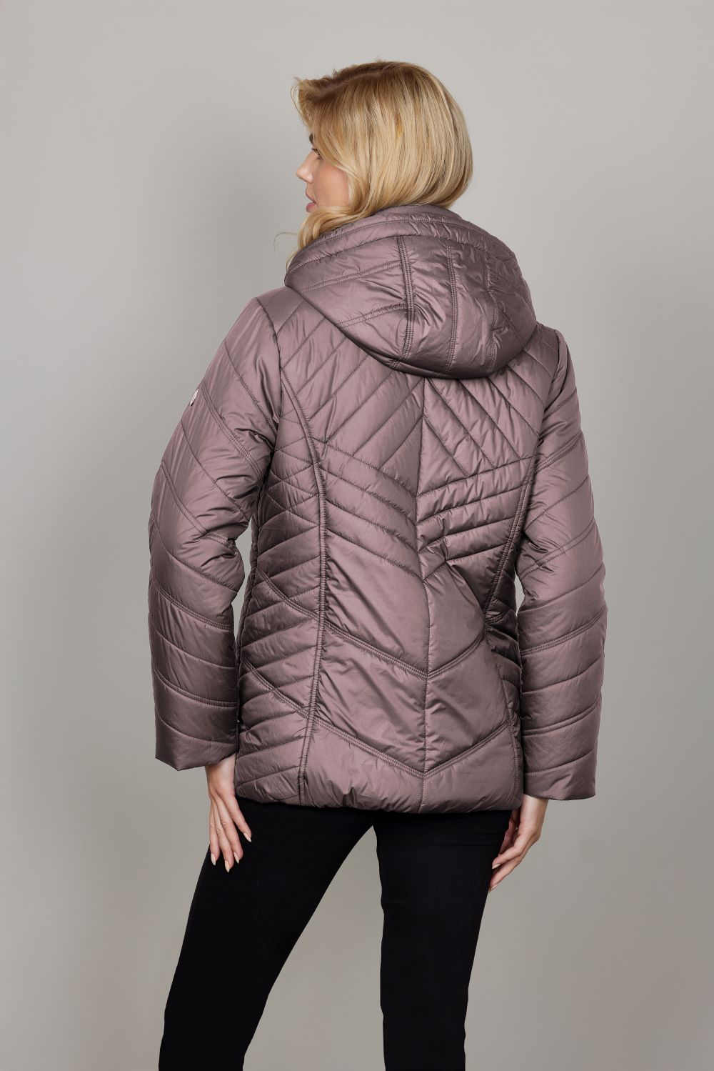 Junge Kate Kv. 66 33-Rose
