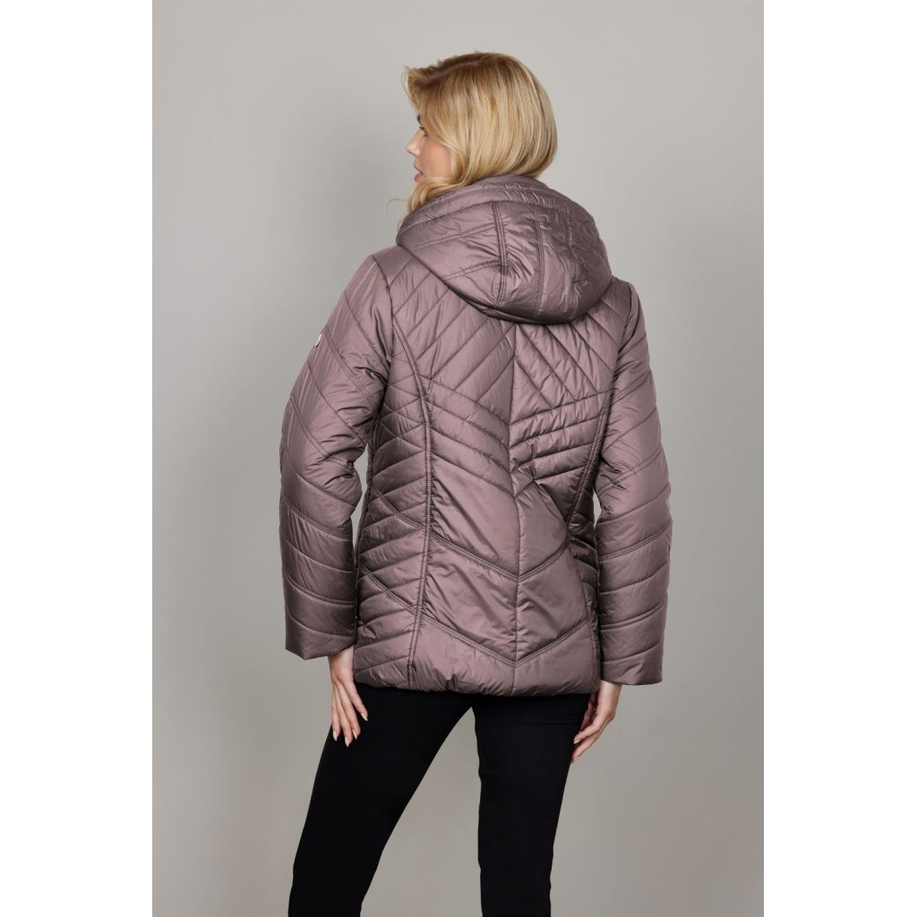 Junge Kate Kv. 66 33-Rose