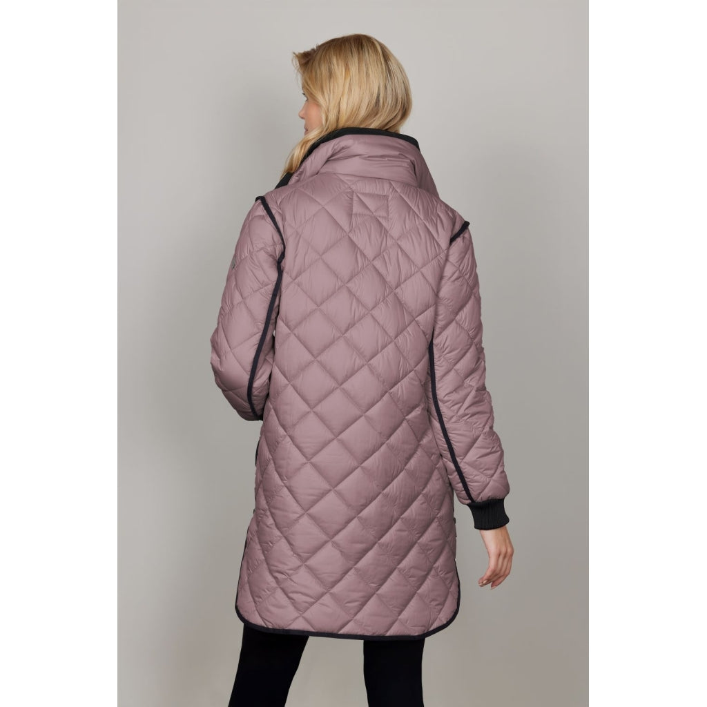 Junge Michelle Kv. 66 33-Rose