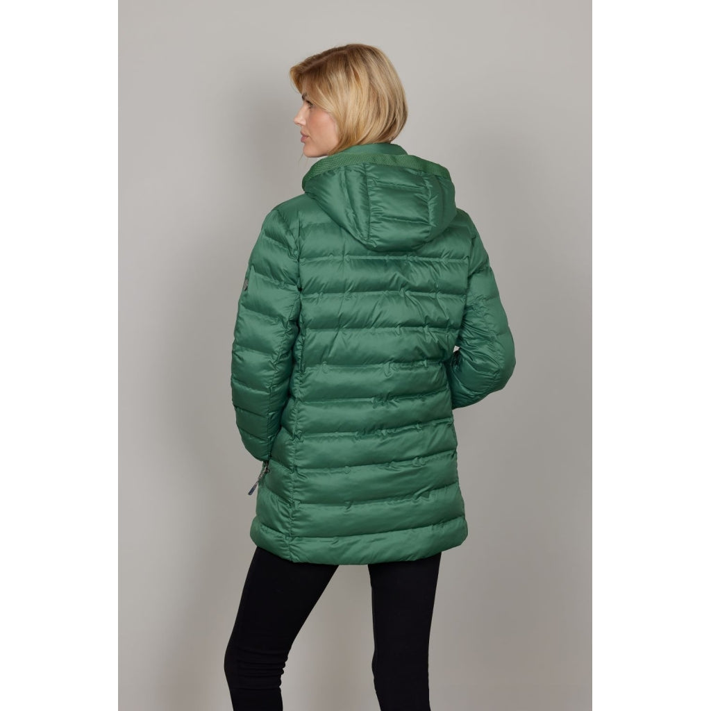 Junge Mie Kv. 63 40-Forest