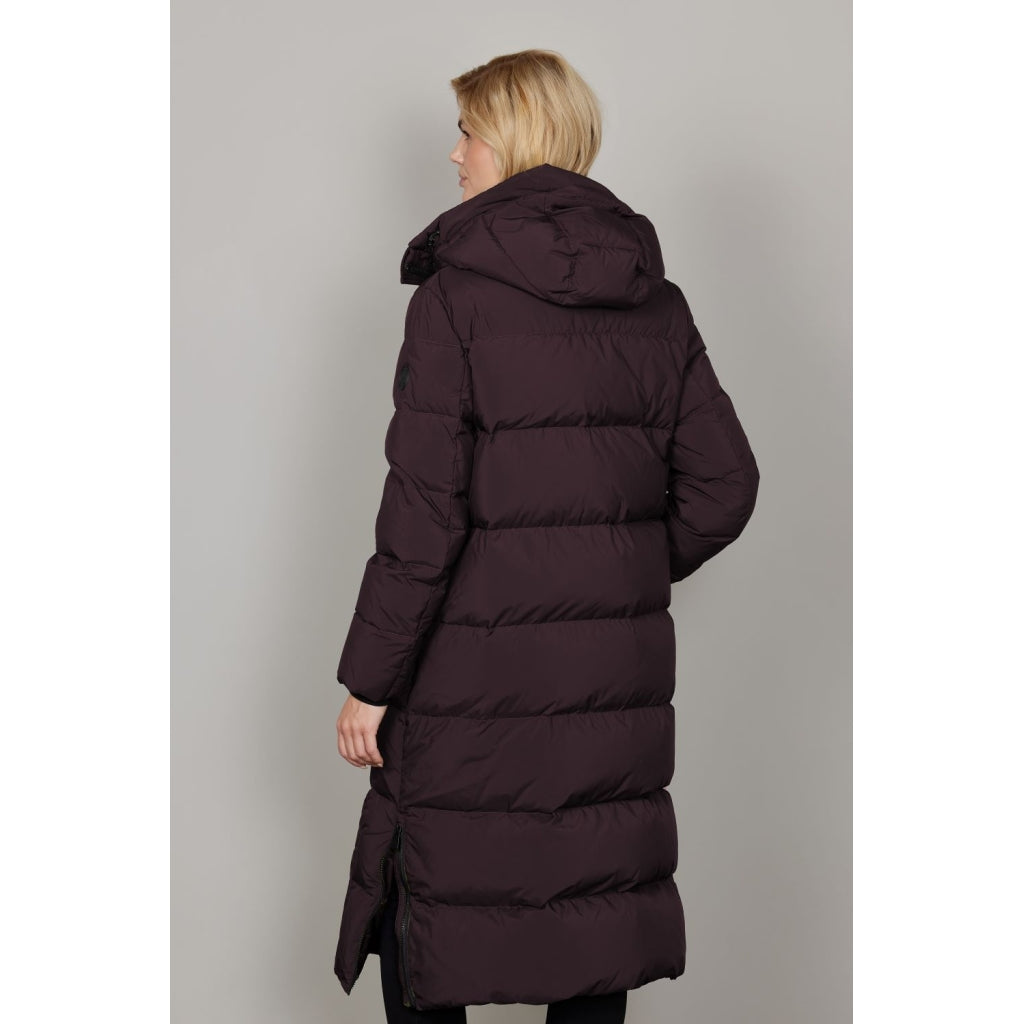 Junge Molly Kv. 52 38-Wine